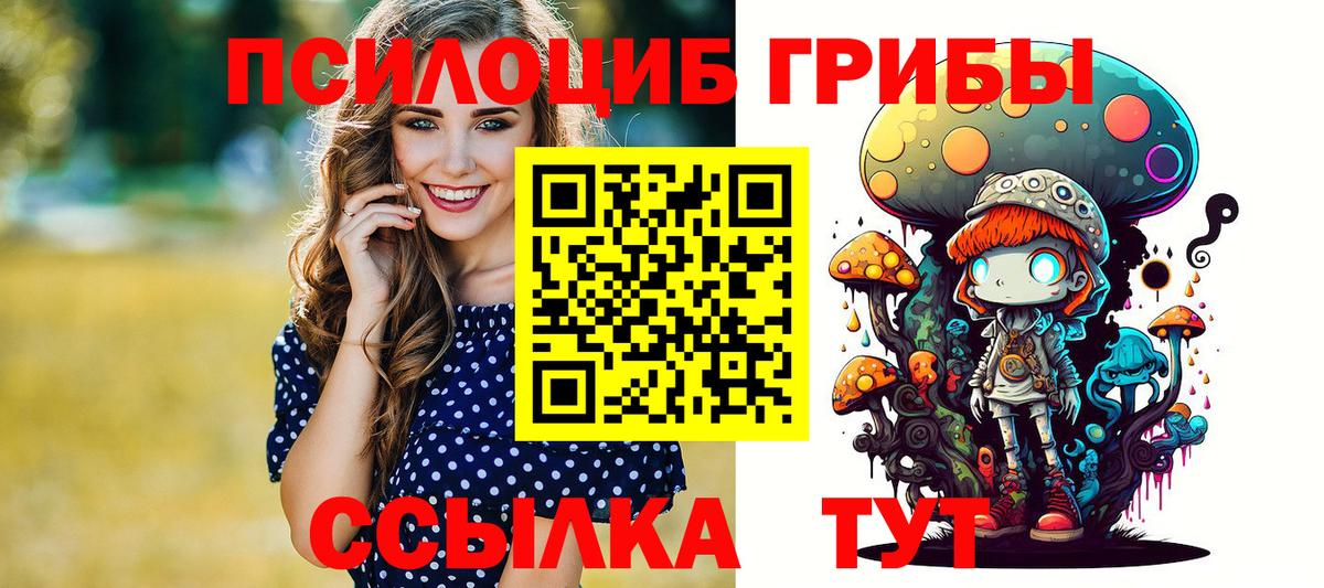 Псилоцибиновые грибы мицелий  Вход с VPN  Кировск 
